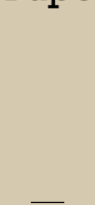 Cobblestone - Unique Options